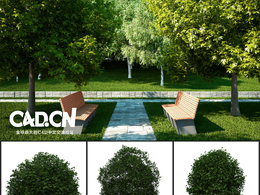 30棵景观树木C4D模型合集 tree