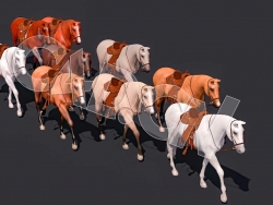 C4D马匹骏马动物马鞍模型 horse