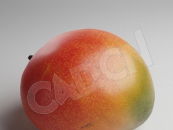 C4D贵妃芒芒果水果模型 Mango