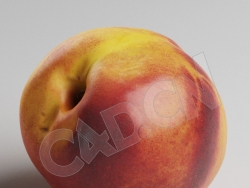 C4D成熟红桃子水果模型 Peac