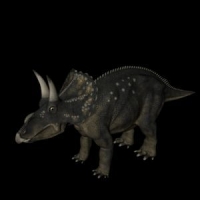 恐龙3D模型：双角龙(Diceratops)