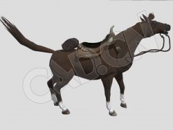 马鞍棕色骏马奔跑C4D动画模型 horse