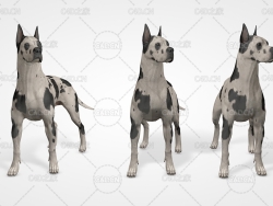 大丹犬 Great Dane 3D Model