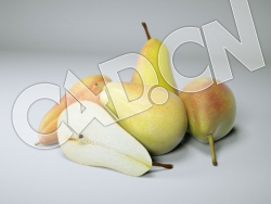 C4D啤梨水果模型 Pears 3d Model