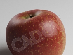 C4D成熟的红苹果模型 RedApple