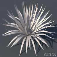 C4D花朵模型：Basic Objects for c4d (r13) 008
