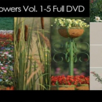 花卉模型合集 iFlowers vol.1-5（MAX）