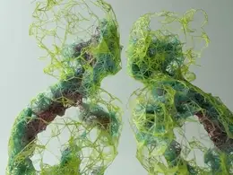 C4D线框人物工程文件（包含教程+插件+工程）