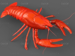 火红的小龙虾C4D模型下载astacus
