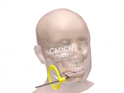 牙科口腔内X光位置-空注释C4D模型 Dental Intra oral X-ray Pos - empty annotation-2