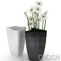 3D白菊花盆景模型（MAX）