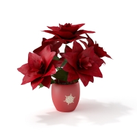 圣诞节装饰物品：红花盆景C4D模型 Christmas flower 3D model