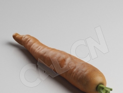 C4D胡萝卜模型 Carrot