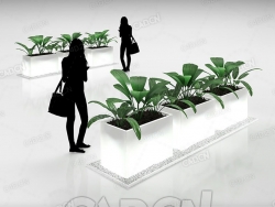 绿植盆栽植物花盆C4D模型