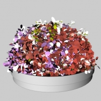 盆景花卉C4D模型 Bonsai flowers
