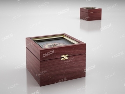 带指南针的盒子 old casket with compas