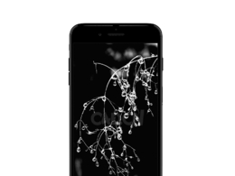 苹果智能手机c4d模型下载