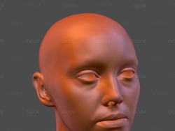 C4D人物头像模型