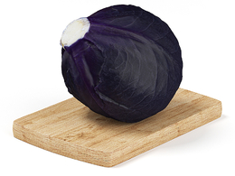 紫包菜紫甘蓝蔬菜C4D模型下载