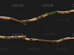 腐朽的绿苔树枝C4D OCTANE模型 wood branch