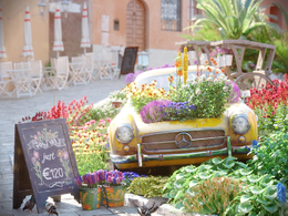 54个C4D景观植物花卉模型合集 Evermotion Archmodels Vol.183