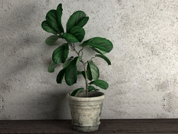 室内装饰花卉 景观绿色植物花盆C4D模型 Green plant flowerpot