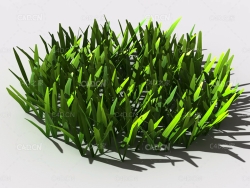 草坪草地绿草植物C4D模型 lawn-grass-e2