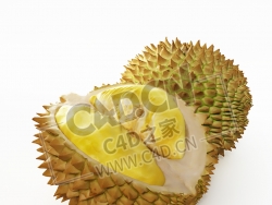 榴莲一半榴莲水果C4D模型 Durian