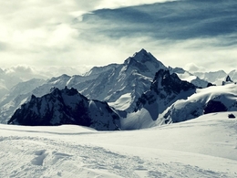 photo animator 实例图片