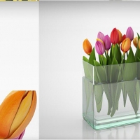 室内装饰花瓶：郁金香C4D模型 Tulip 3D model