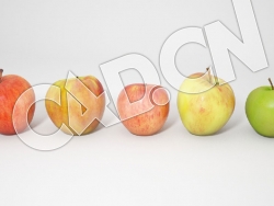 5种颜色的苹果水果C4D模型 Apples 3d Model