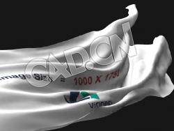 C4D飘扬的旗帜布料动画模型 flag