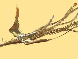 展翅翱翔的金凤凰C4D动画工程文件 Golden phoenix
