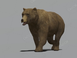 棕熊 bear-walk-animation