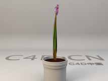 景观花卉 紫色花卉3D模型