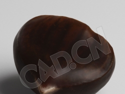 C4D去皮的板栗模型 Chestnut