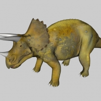 恐龙3D模型：三角龙 Triceratops