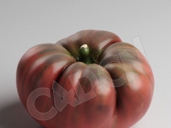 西红柿番茄蔬菜C4D模型 Tomatoe