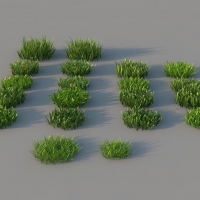 绿草、草地、草坪C4D模型 lawn-grass