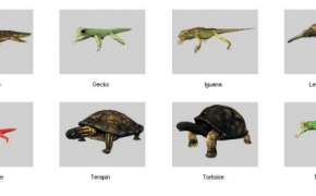 48个动物3D模型 DOSCH DESIGN – 3D: Animals