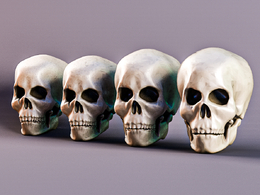 4个人类头骨c4d模型免费下载Human Skull