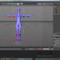 新线中视 free教程   c4d骨骼绑定系列