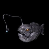 远古鱼三维模型 3D models of ancient fish