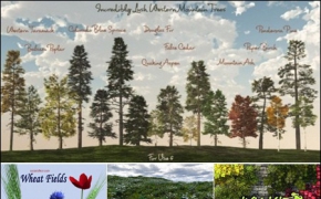 VUE景观植物/树木3D模型（veg）Incredibly Lush Plants Pack – Vuegen