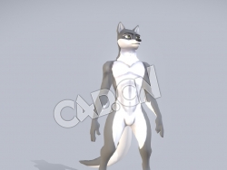 C4D卡通灰狼模型 Terris