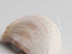 C4D一瓣大蒜模型 Garlic