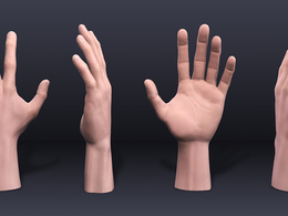 男性手掌C4D模型 Follys Hand（C4D/OBJ/ZTL）