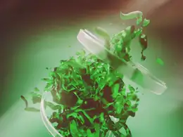 C4D使用OCTANE RENDER和Realflow渲染喷溅的水花教程