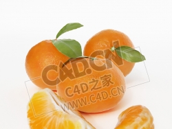 芦柑桔子带叶的橘子水果C4D模型 Orange