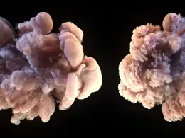 烟雾涡度碰撞x-particles+cycles4d EFX Vorticity